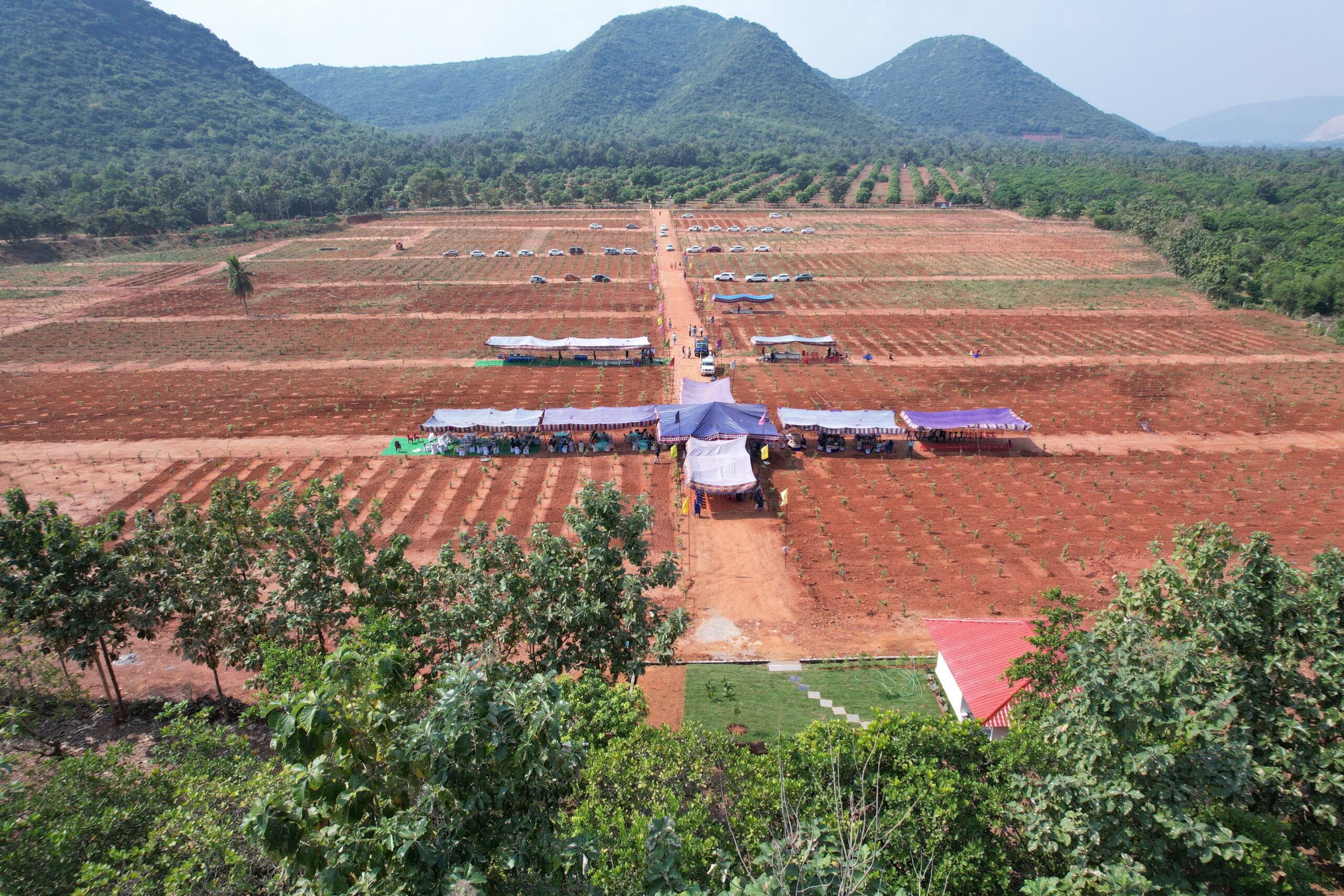Home fland1a